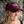 Load image into Gallery viewer, Hat - Cedar Ridge Distillery Dad Hat
